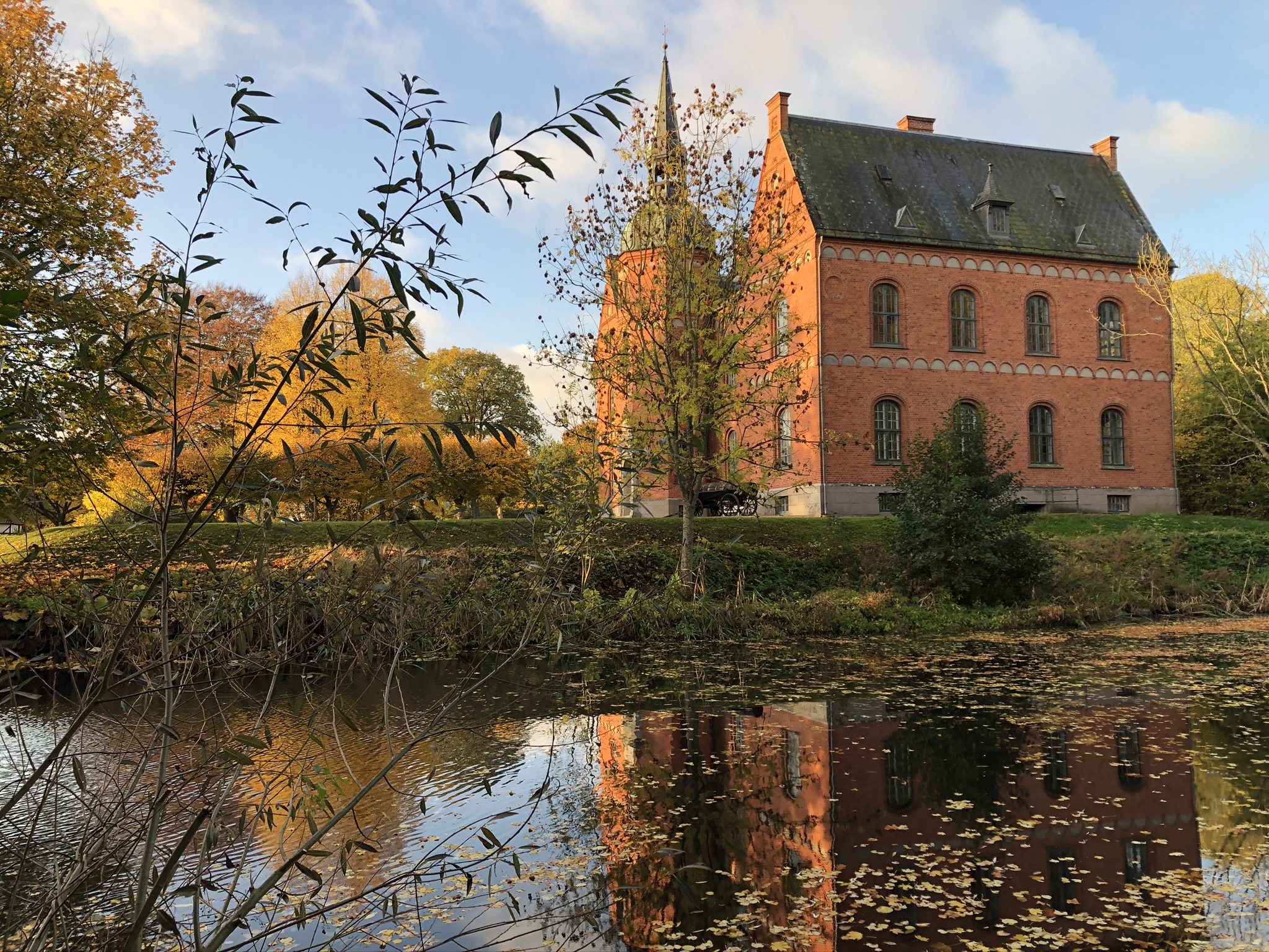 Skovsgaard omdanner landbrug til vild natur
