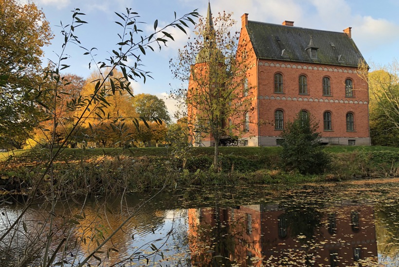 Skovsgaard omdanner landbrug til vild natur